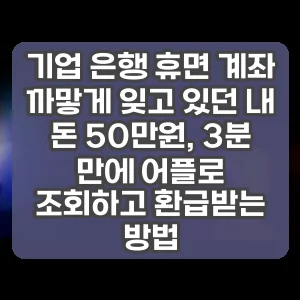 기업 은행 휴면 계좌 | 까맣게 잊고 있던 내 돈 50만원, 3분 만에 어플로 조회하고 환급받는 방법