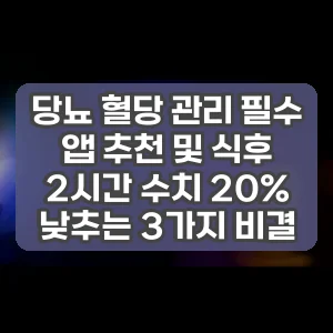 당뇨 혈당 관리 필수 앱 추천 및 식후 2시간 수치 20% 낮추는 3가지 비결