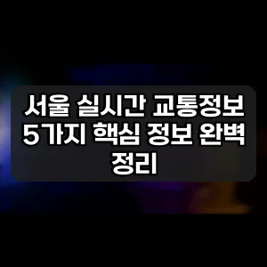 서울 실시간 교통정보 | 5가지 핵심 정보 완벽 정리