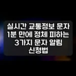 실시간 교통정보 문자 썸네일