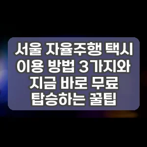 서울 자율주행 택시 이용 방법 3가지와 지금 바로 무료 탑승하는 꿀팁