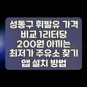 성동구 휘발유 가격 비교 1리터당 200원 아끼는 최저가 주유소 찾기 앱 설치 방법