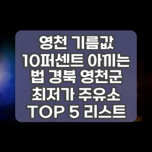 영천 기름값 10퍼센트 아끼는 법 경북 영천군 최저가 주유소 TOP 5 리스트