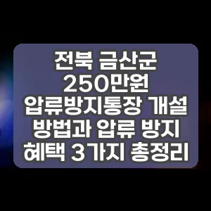 전북 금산군 250만원 압류방지통장 개설 방법과 압류 방지 혜택 3가지 총정리